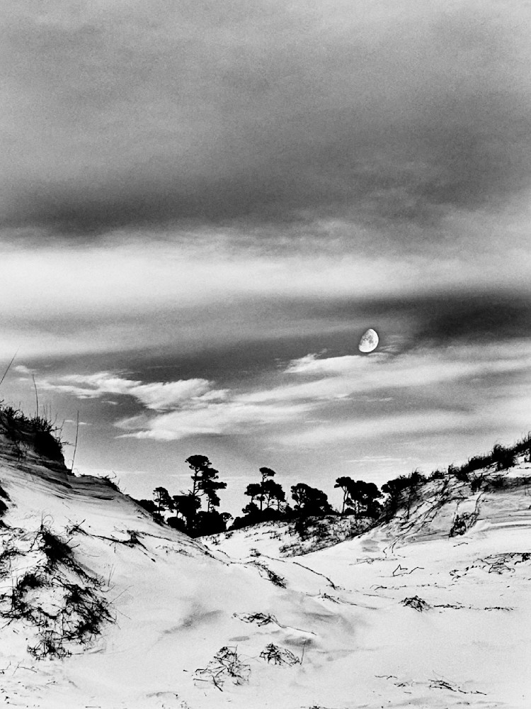 Lunar Oasis Sp Art | Sky + Sparks Luxury Fine Art