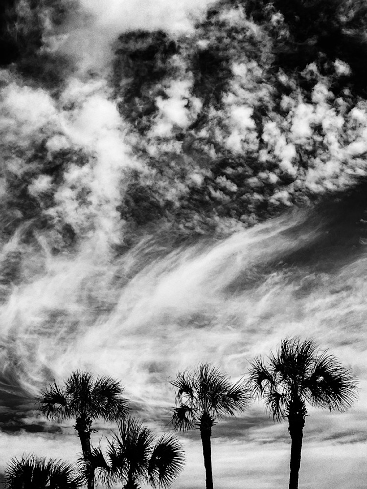 Whispers In The Wind Sp Art | Sky + Sparks Luxury Fine Art