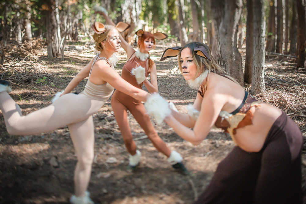 N2 J9249 Photography Art | Scott Shots Photography