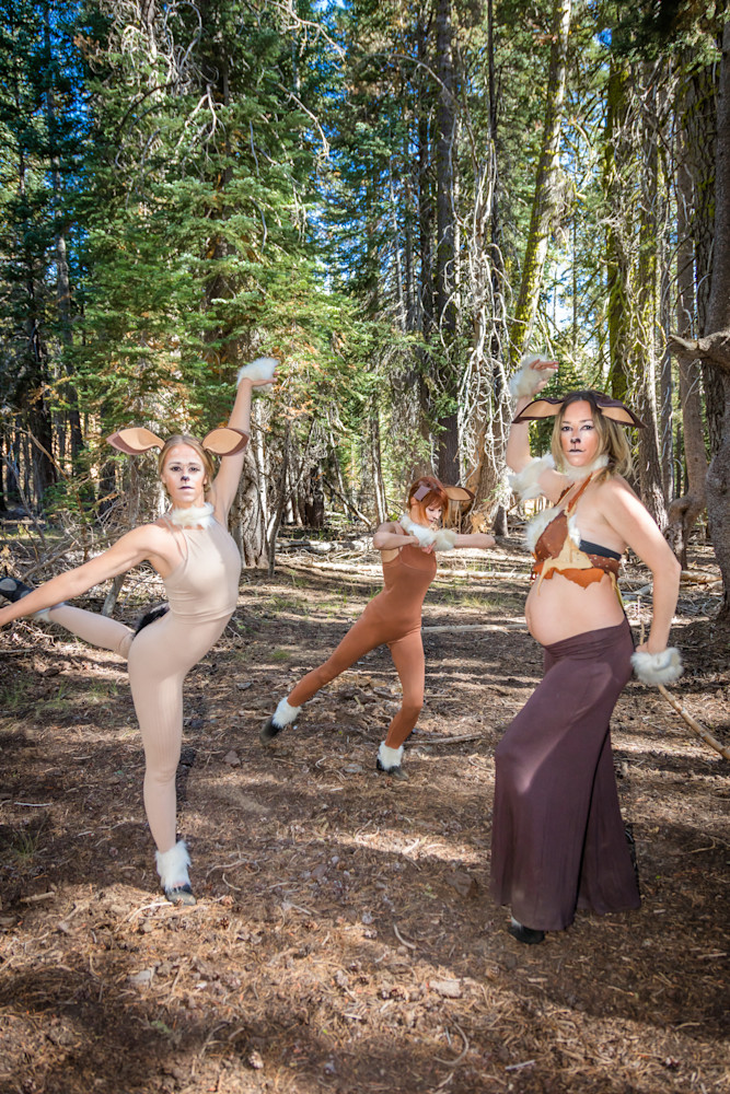 Q1 A8261 Photography Art | Scott Shots Photography