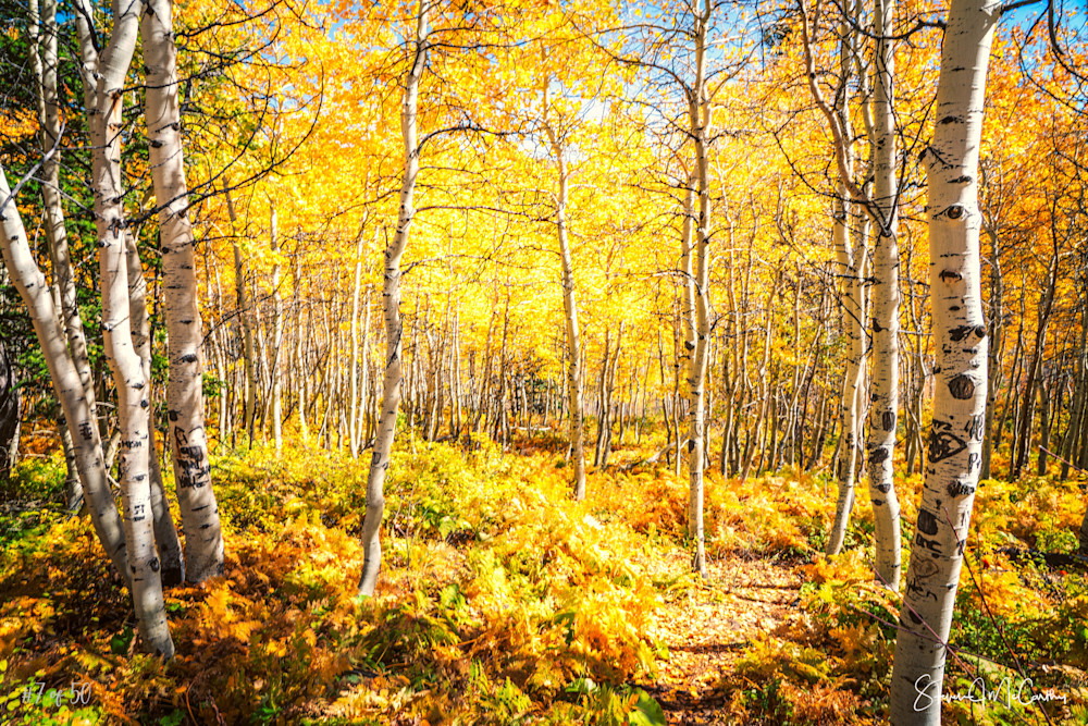 Tranquility | Fine Art Landscape Photograph