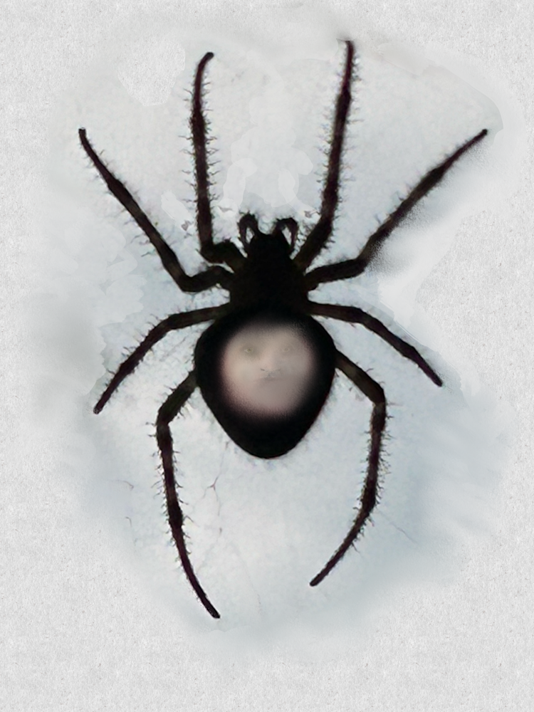 Spider Art | Cumulus-Art