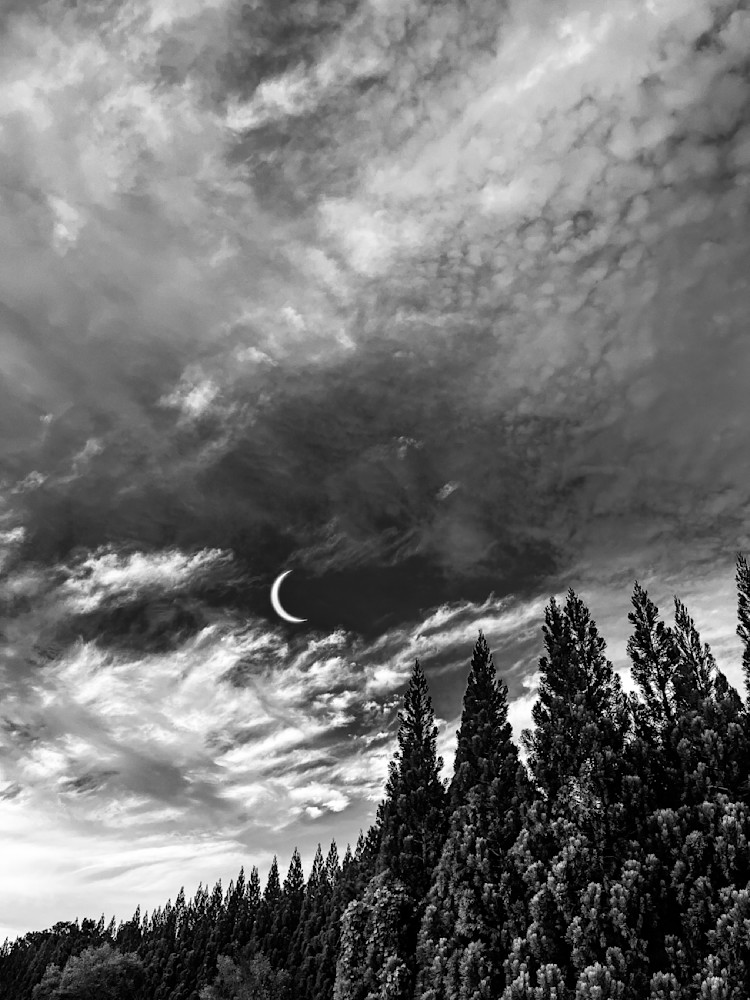 Forest Of Gods Sp Art | Sky + Sparks Luxury Fine Art