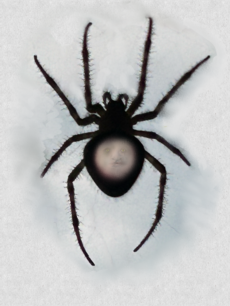 Art Spider Art | Cumulus-Art