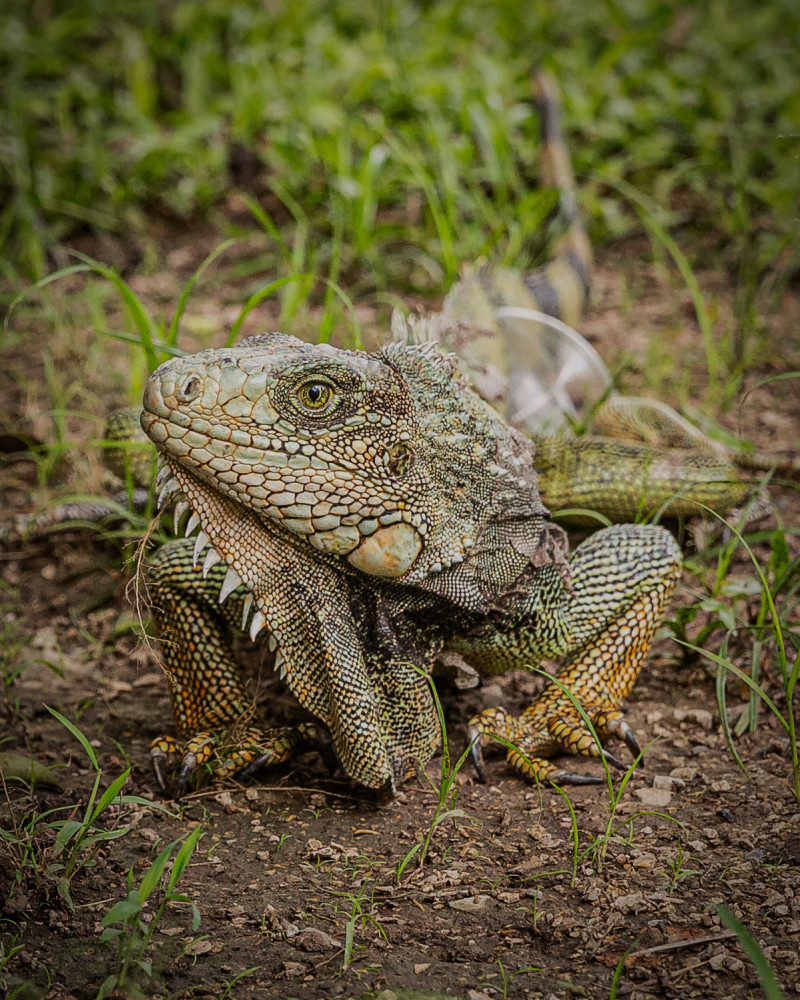 Ecuador Cuenca Street Scenes 8 A Photography Art | Kasden Photography
