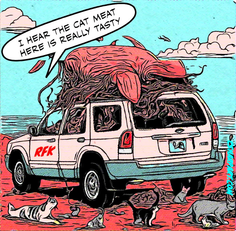 Rfk Likes Cats Art | csharp art