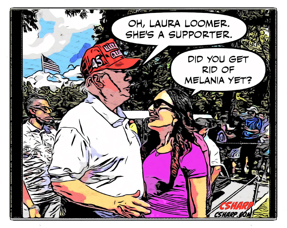 Loomer Art | csharp art