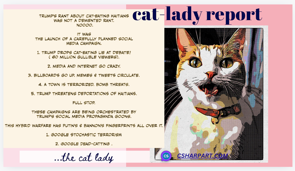 The Cat Lady Art | csharp art