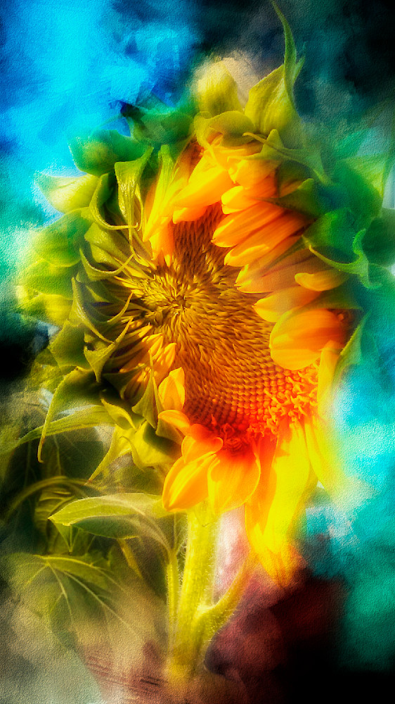 You are my sunshine set