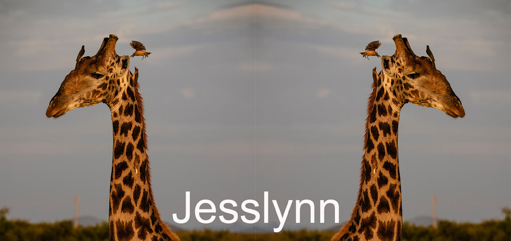 Jesslynn Photography Art | Kevin Morris Photography USA