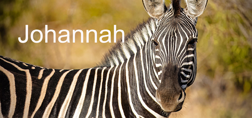 Safari2024 7 Johannah Photography Art | Kevin Morris Photography USA