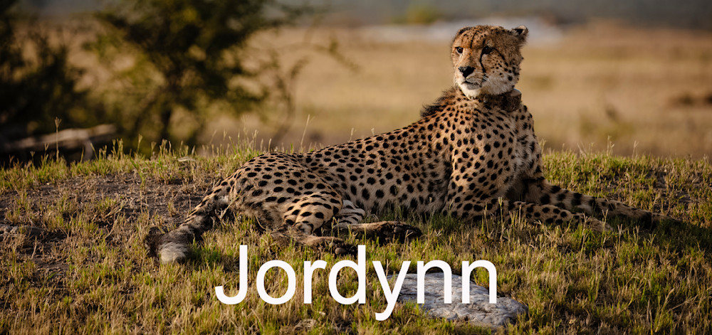 Safari2024 83 Jordynn Photography Art | Kevin Morris Photography USA