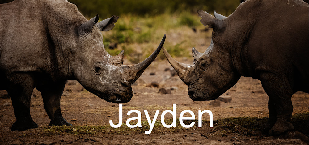 Jayden Photography Art | Kevin Morris Photography USA