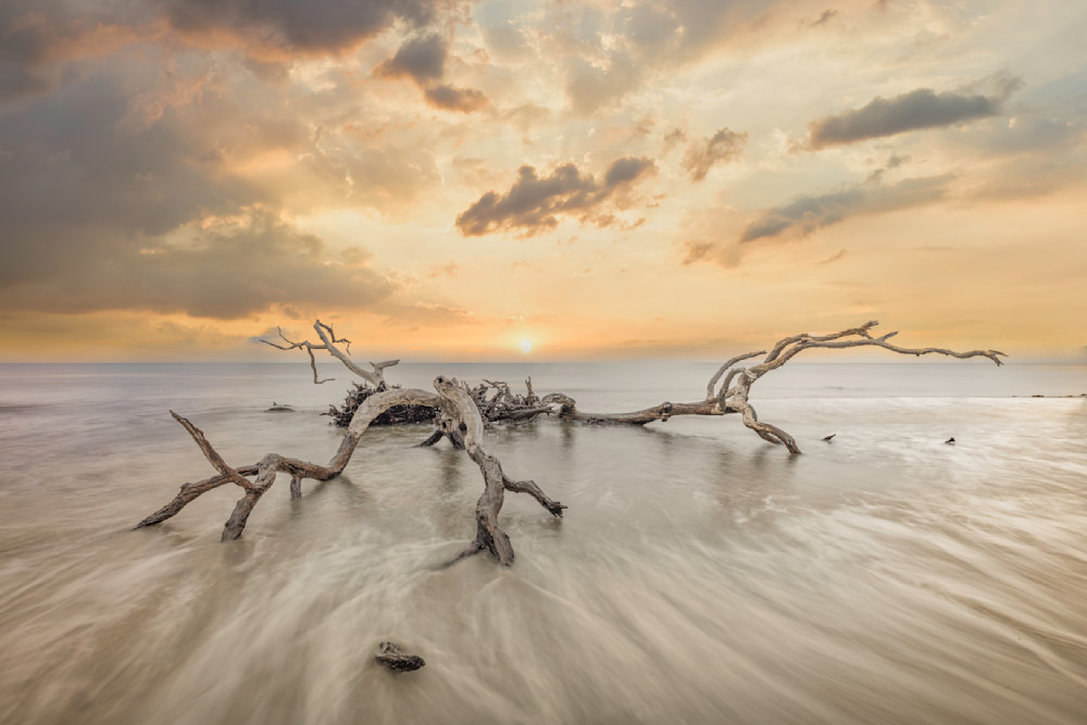 Jekyll Island Photos | Images | Georgia | GA | Pics