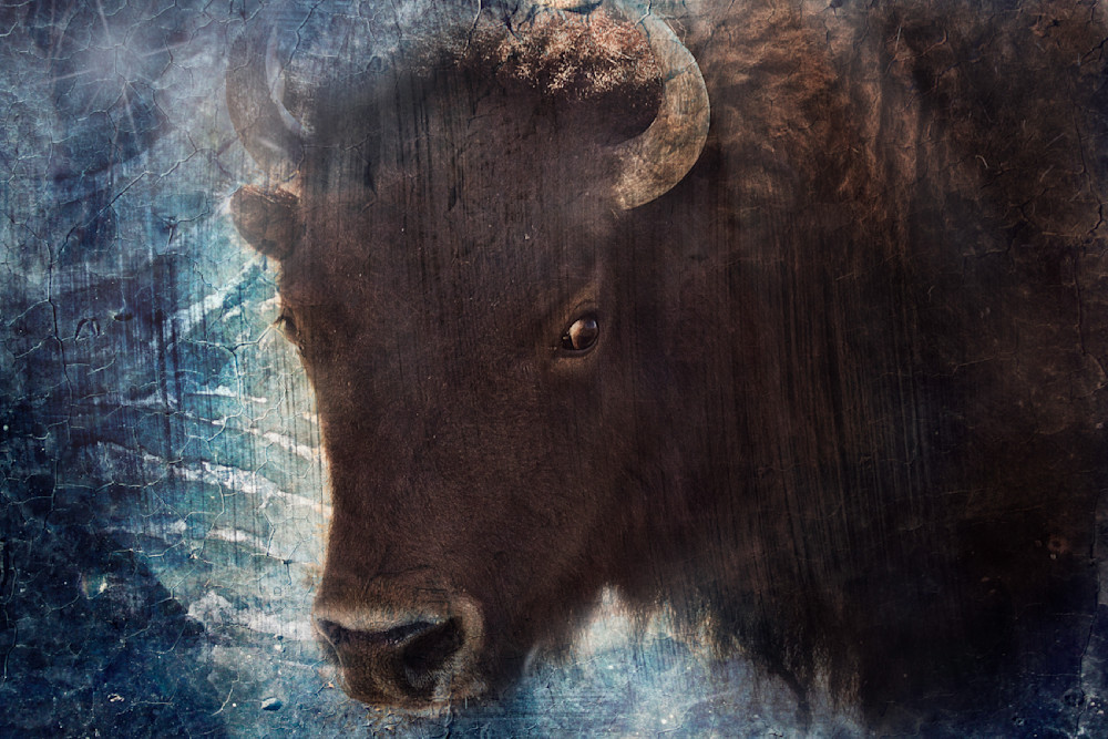 Bison Art