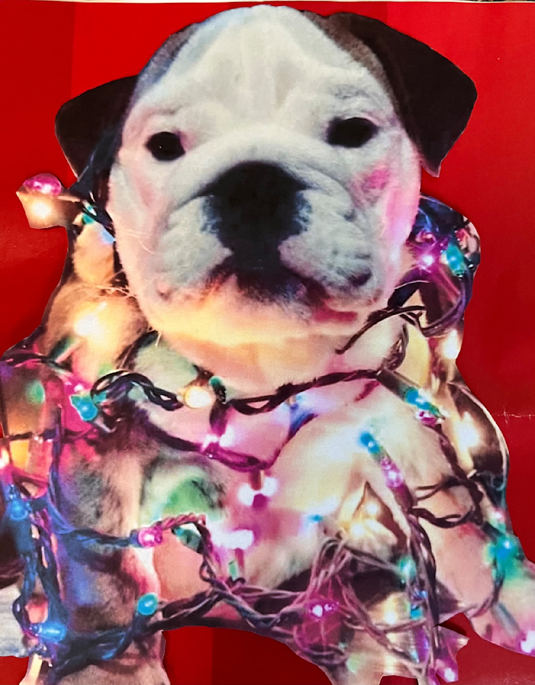 “Energy Efficient? I just wanted a treat!

This is Sammy, our beloved bulldog 