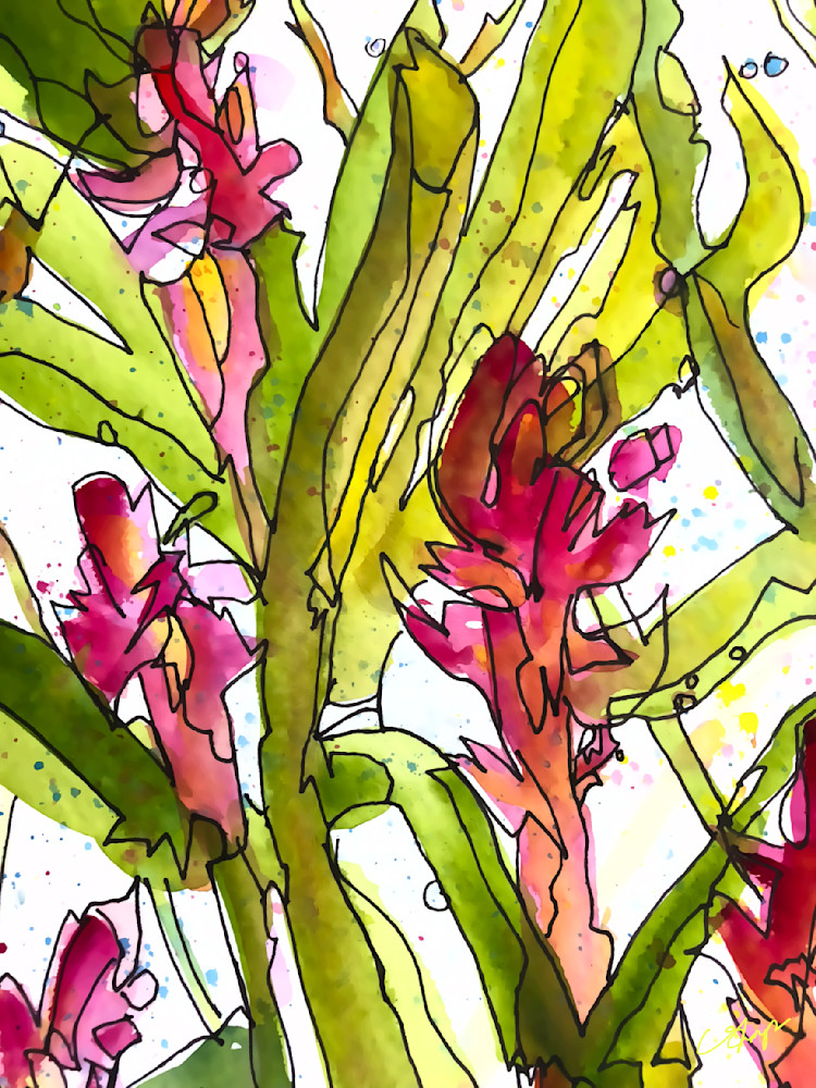 Maui Florals Art | csharp art