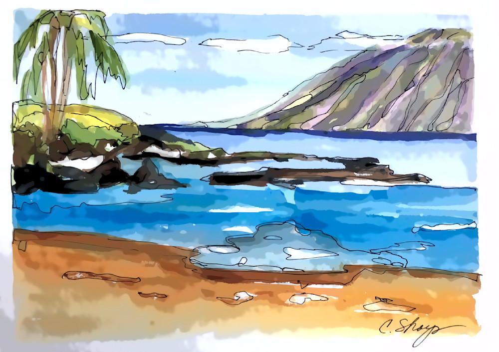 Maui: Endless Beach Art | csharp art