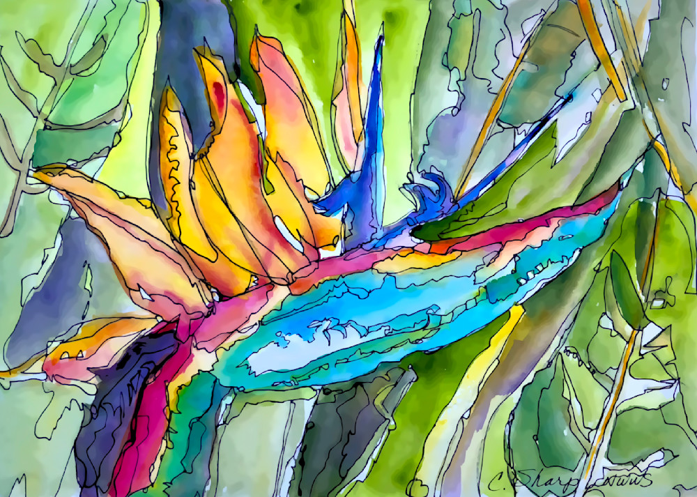 Bird Of Paradise Art | csharp art