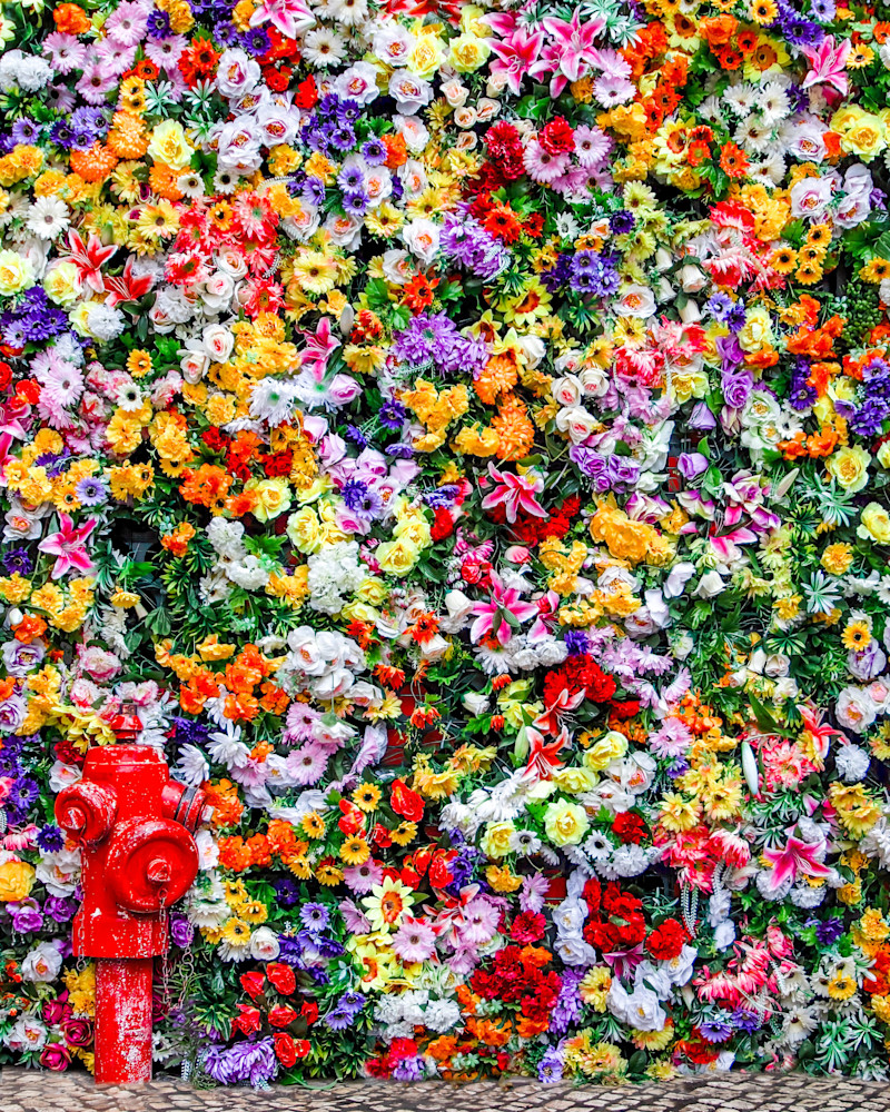 A Place for Dogs – Vibrant Flower Wall and Red Fire Hydrant in Lisbon | 910Photography