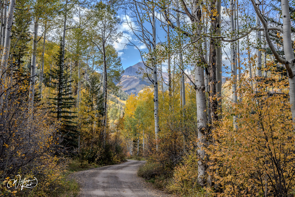 Aspen Fall 17 Art | William Reed Artist