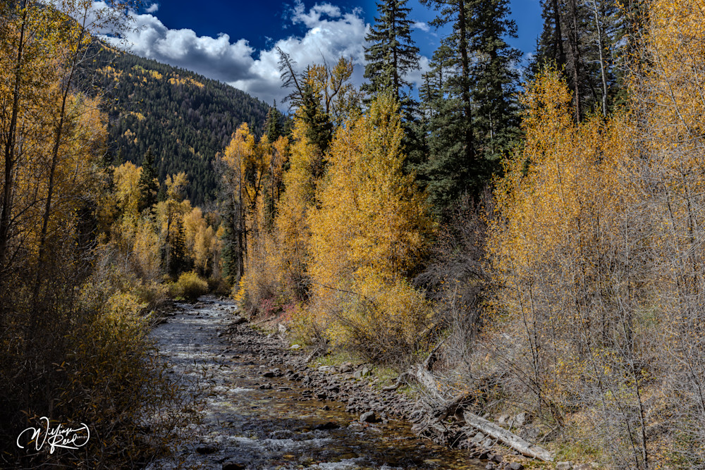 Aspen Fall 19 Art | William Reed Artist