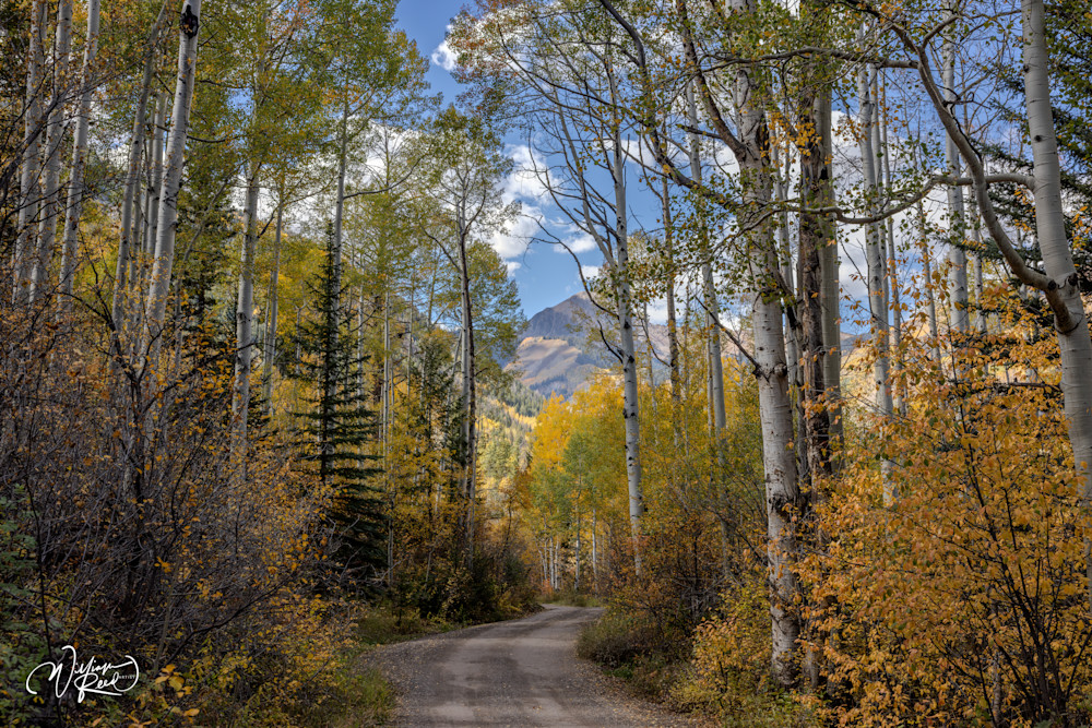 Aspen Fall 18 Art | William Reed Artist
