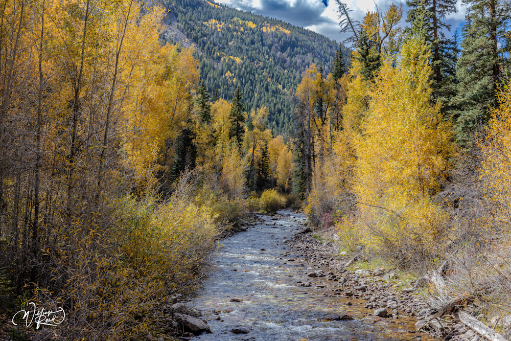 Aspen Fall 21 Art | William Reed Artist