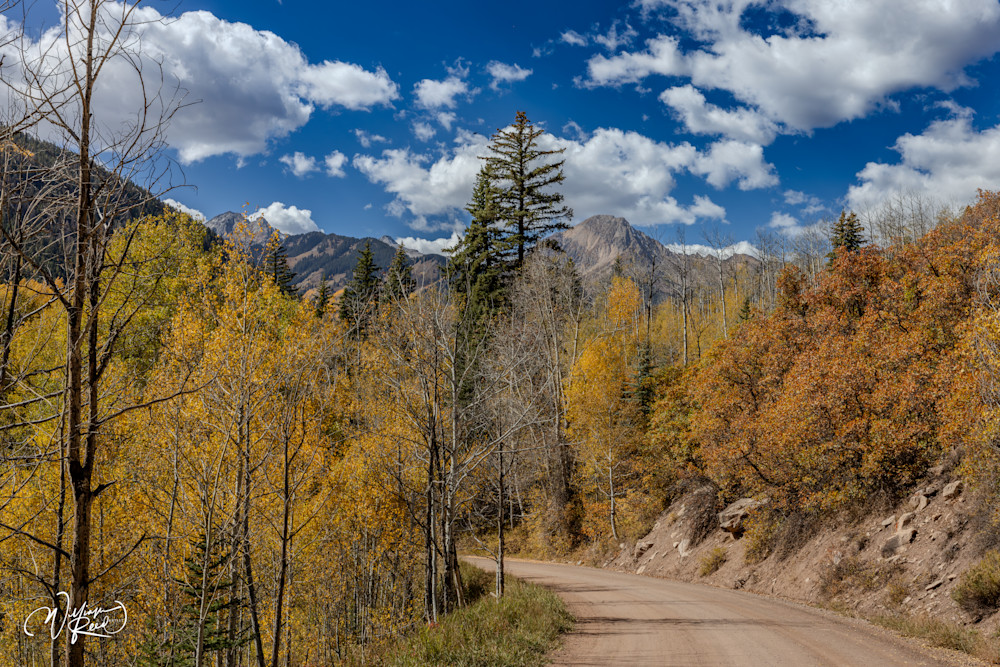 Aspen Fall 22 Art | William Reed Artist
