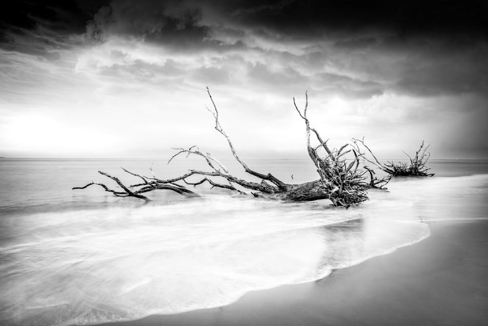Big Talbot Island State Park​ | Jacksonville | Florida | FL