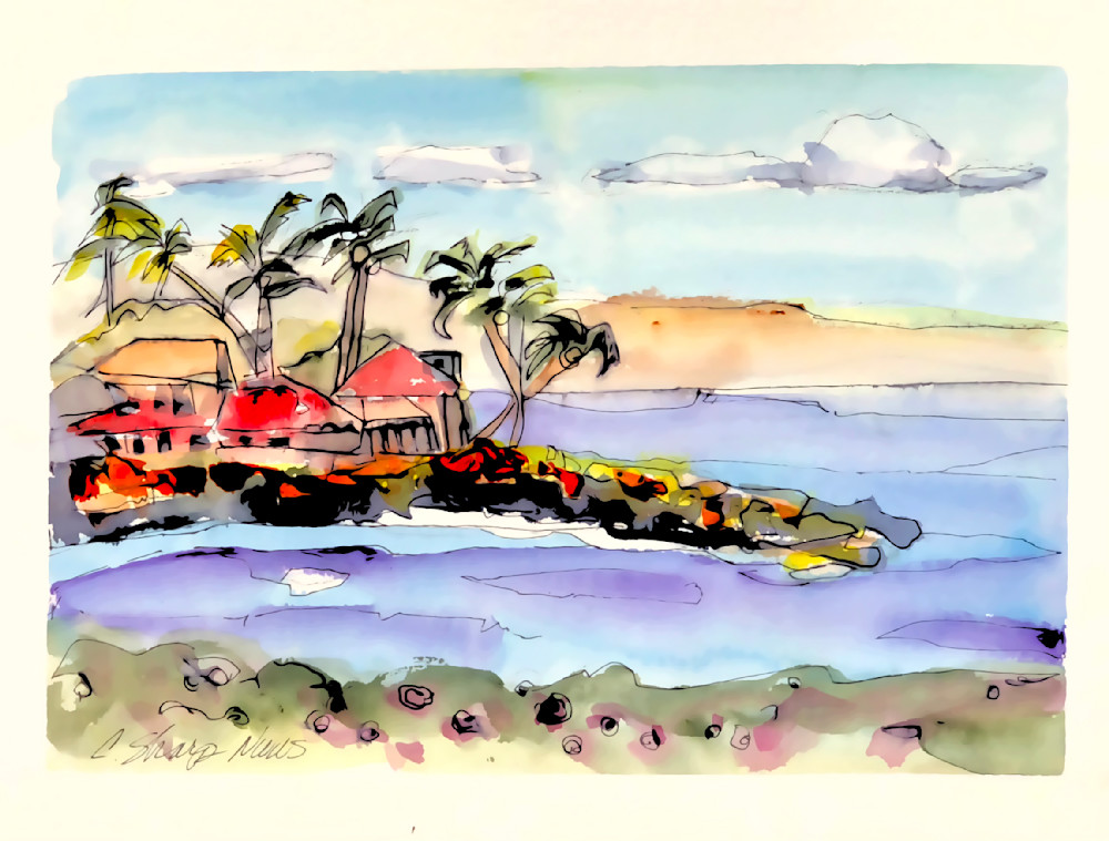 Napili Point Maui Art | csharp art