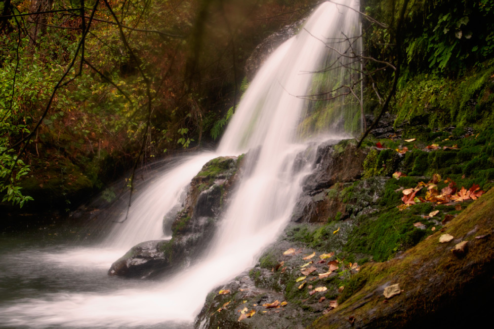 autumn waterscape