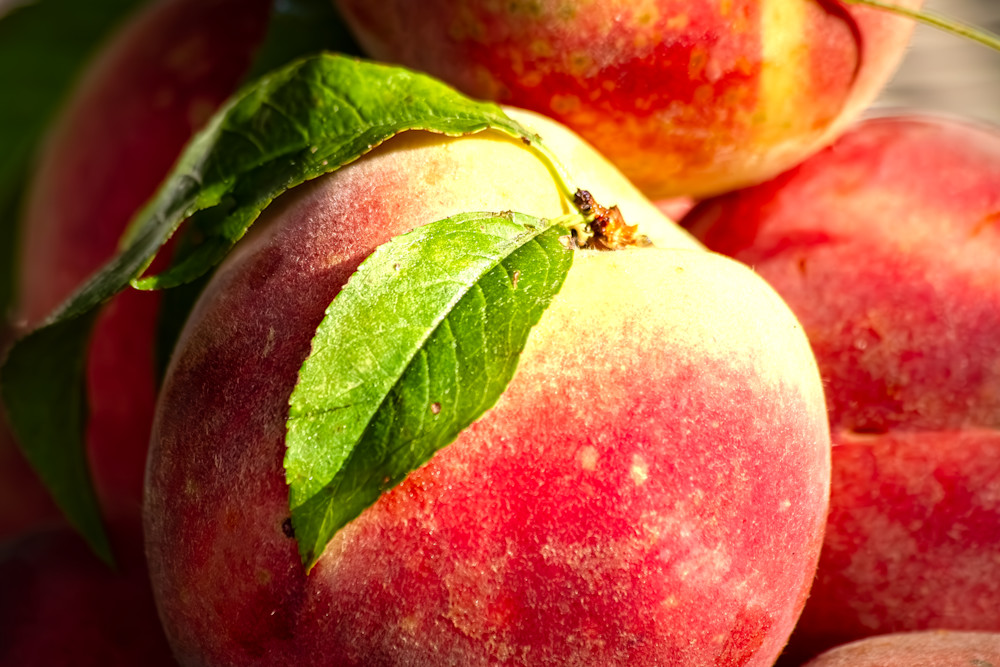 Just Peachy Photography Art | Kimberly Umstead Photography