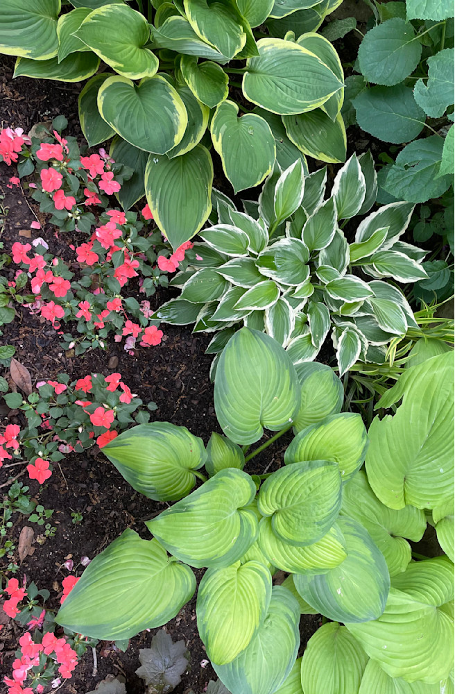 Lush Garden Harmony Art | Chez Renee Art