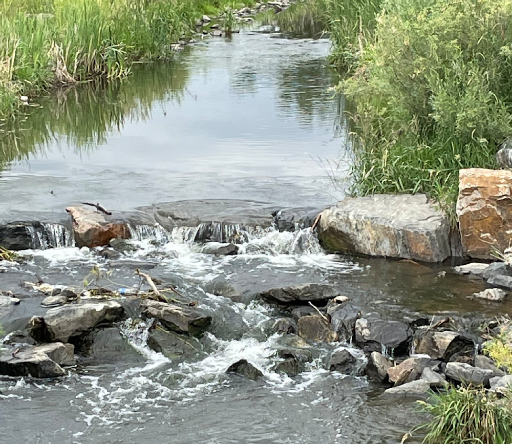 Serenity Stream Art | Chez Renee Art