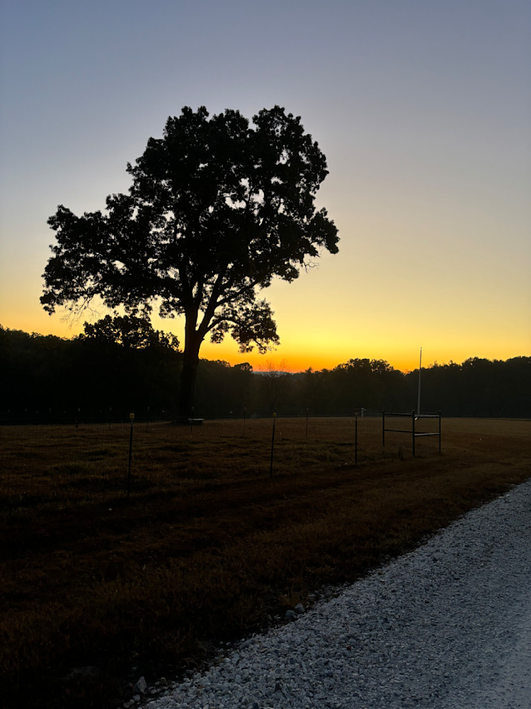 Serene Sunset Art | Chez Renee Art