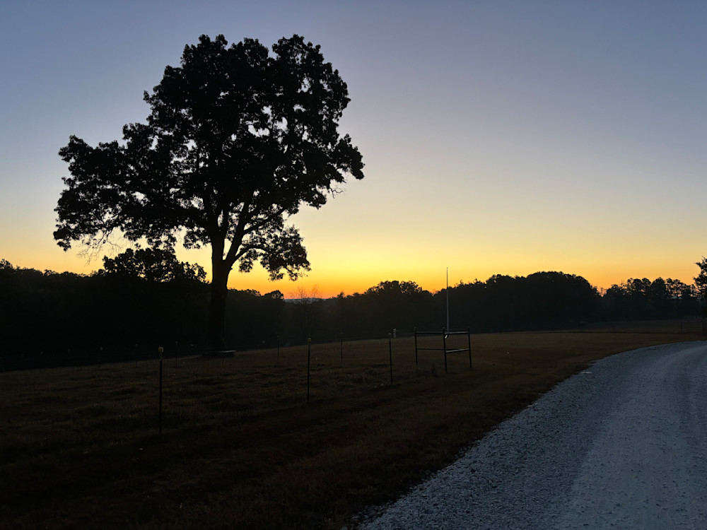 Serenity At Sunset Art | Chez Renee Art