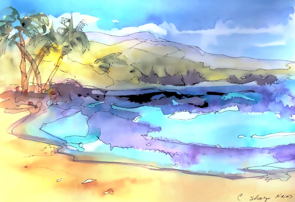 Fleming Beach Ii Art | csharp art