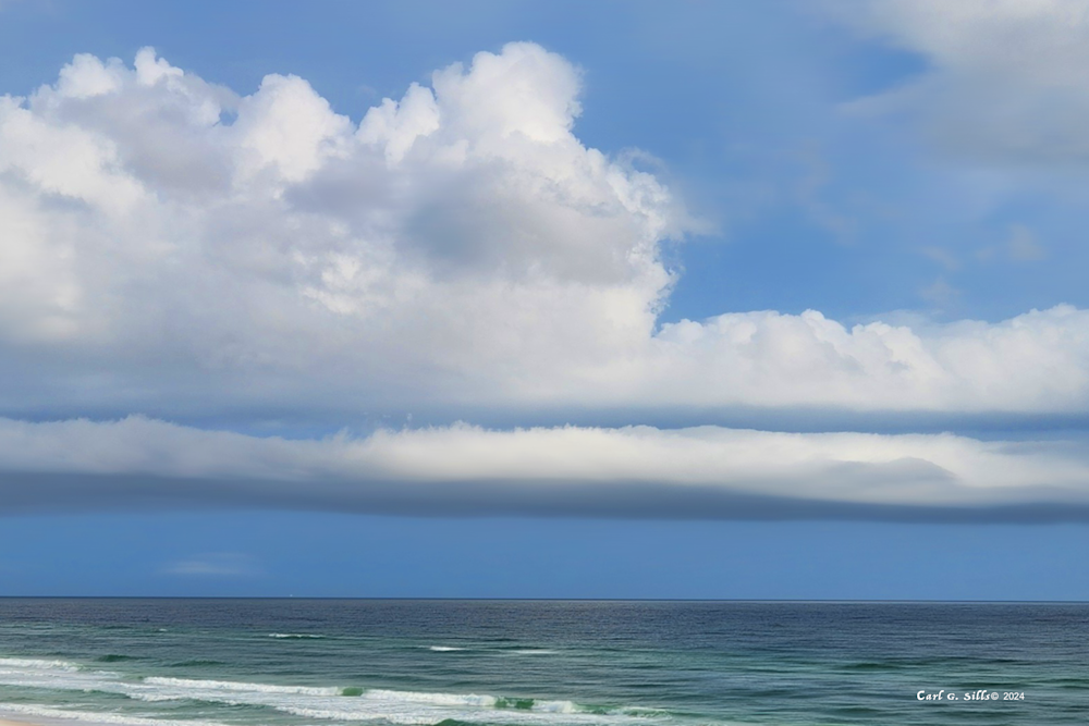 Hiroshima Natural One Art | Sills Communications LLC