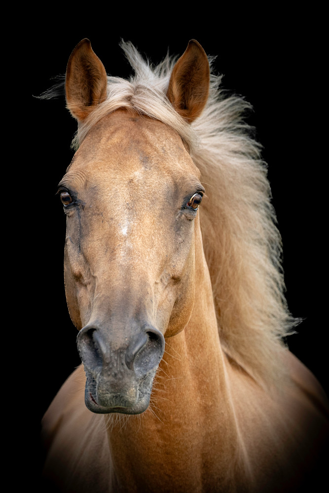  Photographs | Art | Images | Photos | Dennis Goodman Photography