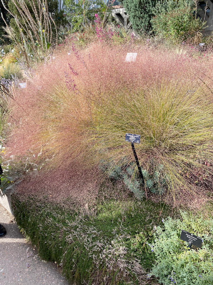 Img 0721 Art | SirPrinceMichael