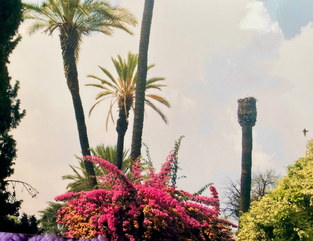 Img 3947 Art | SirPrinceMichael