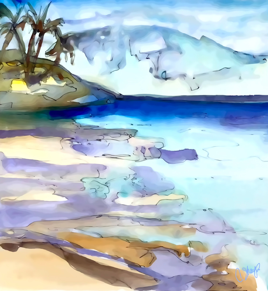 Fleming Beach: Maui Art | csharp art