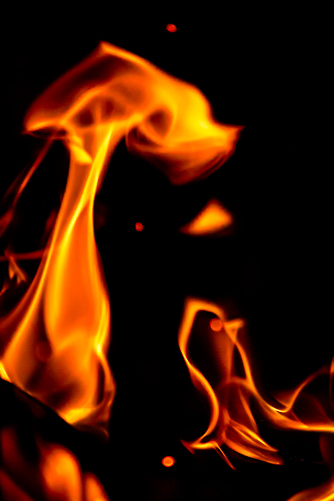 Bird Fire Flame Photography Art | Kimberly Umstead Photography