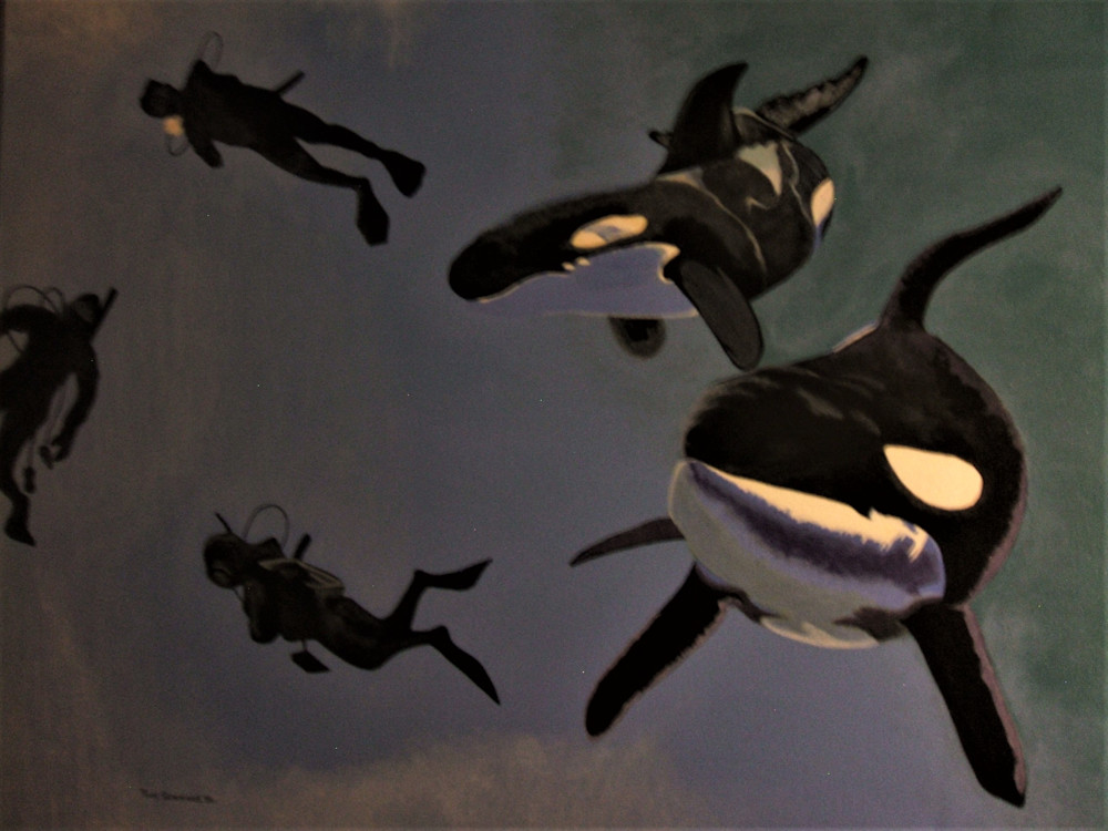 Diving With Orcas Art | Time Out color Vision