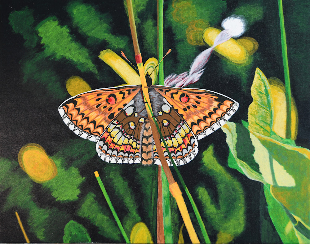The Butterfly Show Art | Time Out color Vision