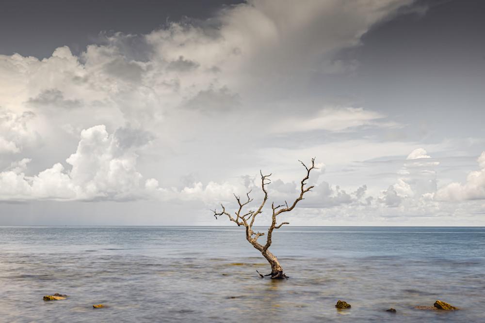Florida Keys Pictures | Photos | Images | FL