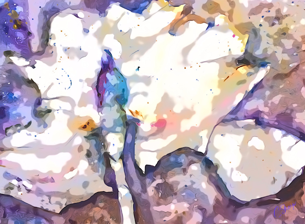 Iris Art | csharp art