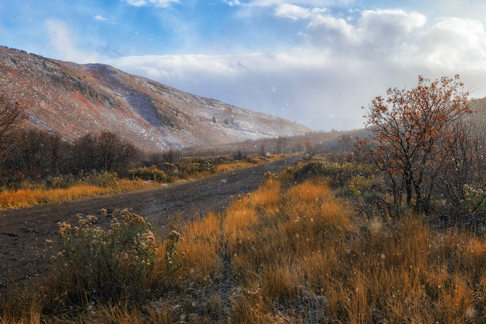 Cummings Parkway Road Photography Art | Bryce Giesmann Fine Arts