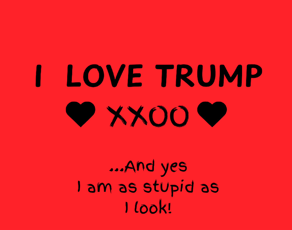I Love Trump Art | csharp art